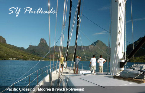 Sample image from gallery